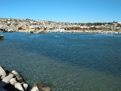 Mossel Bay Harbour 4